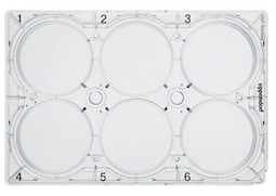 德國艾本德(Eppendorf)Cell Culture Plates,6-Well,無(wú)菌無(wú)熱原,無(wú)RNase和DNase,無(wú)人類(lèi)和細菌DNA,無(wú)細胞毒素,TC處理,5mL,100塊